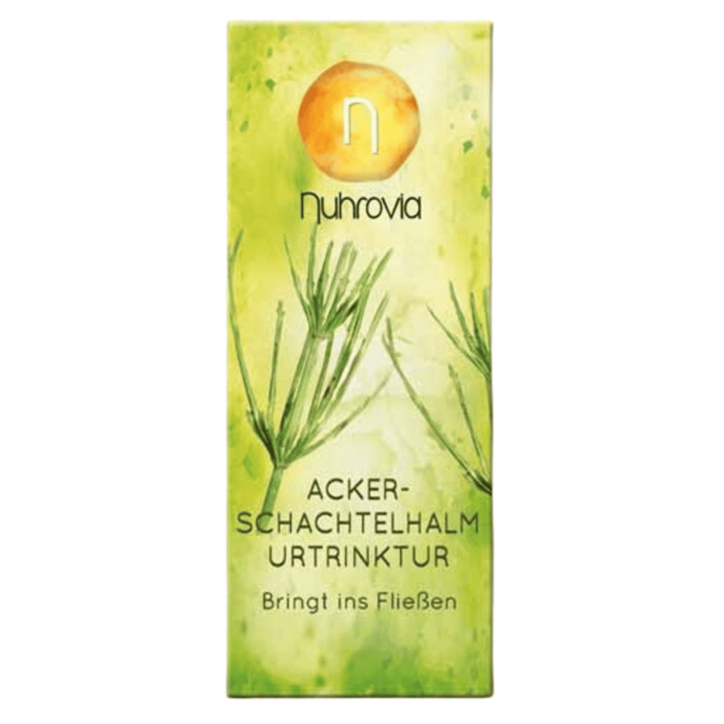 Ackerschachtelhalm Urtrinktur 20ml