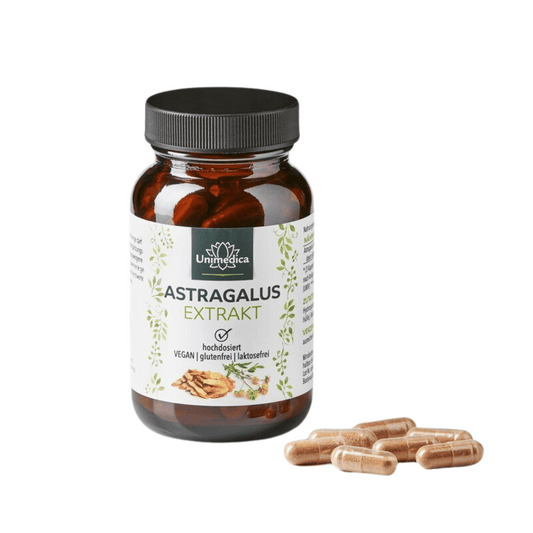 Astragalus Extrakt 1200mg 90 Kapseln