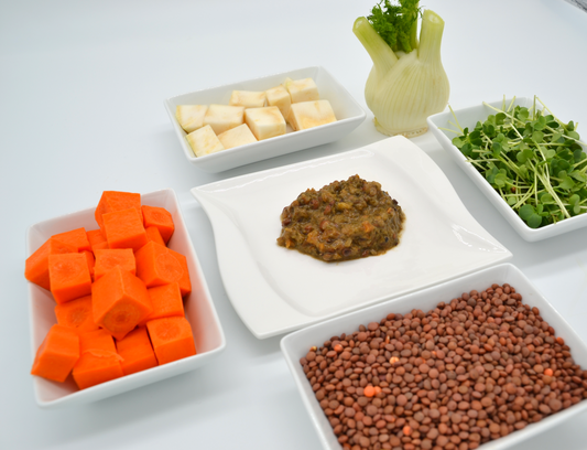 Terra-Pura Bio-Linsenmahlzeit für Hunde