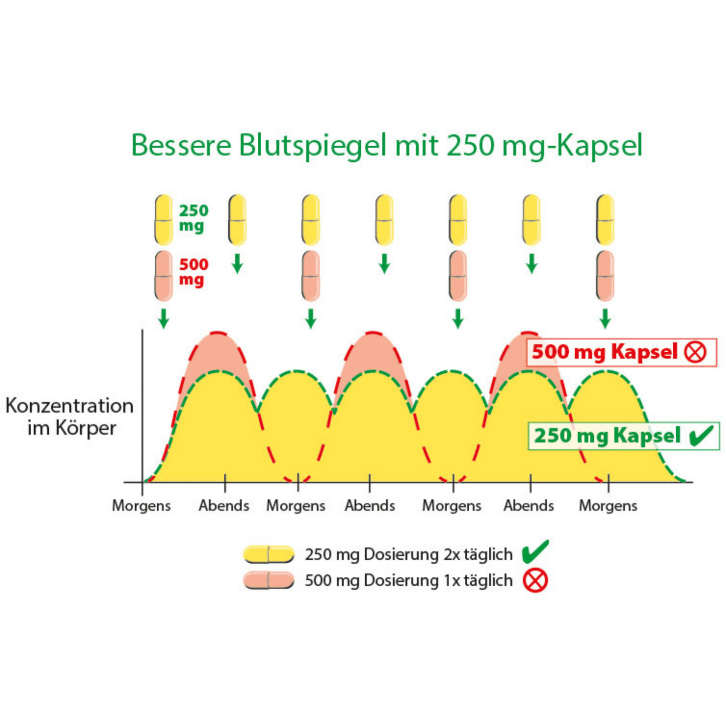 Dr. Michalzik Quercetin plus C 60Kapseln