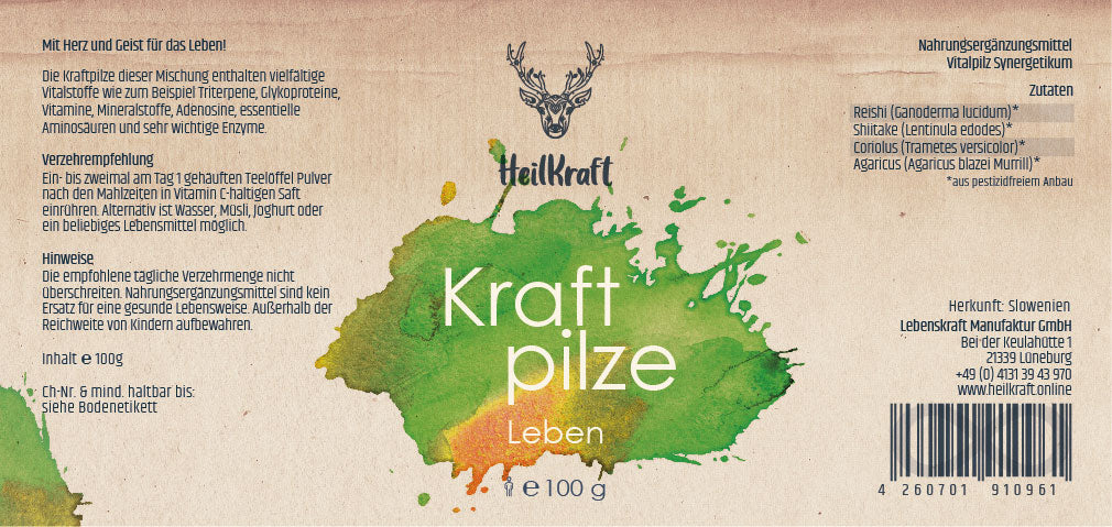 Heilkraft Kraftpilze Leben - Vitalpilz Synergetikum