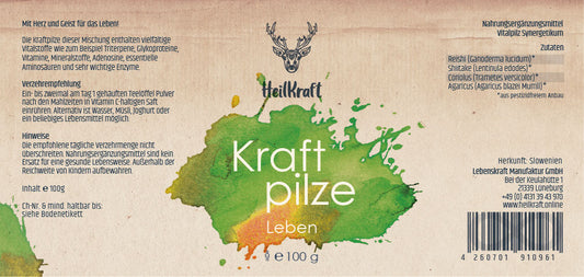 Heilkraft Kraftpilze Leben - Vitalpilz Synergetikum