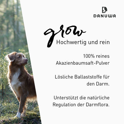 Danuwa Grow Akazienbaumsaftpulver 300g