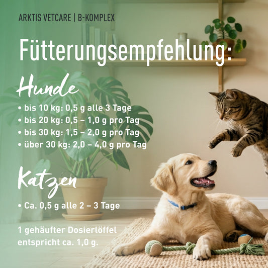 DANUWA VITAMIN B-KOMPLEX AUS BUCHWEIZENKEIMEN 100g