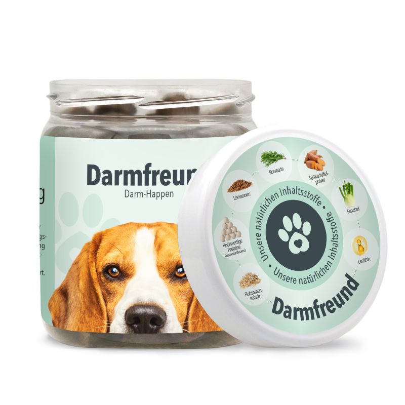 Darmfreund
