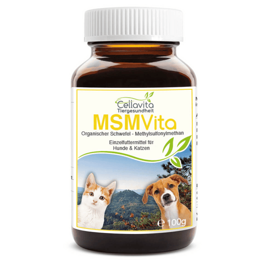 MSM - Organischer Schwefel - 100g für Hunde & Katzen im Glas