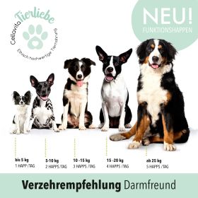 Darmfreund