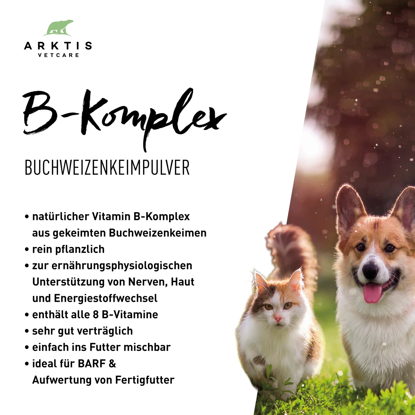 DANUWA VITAMIN B-KOMPLEX AUS BUCHWEIZENKEIMEN 100g