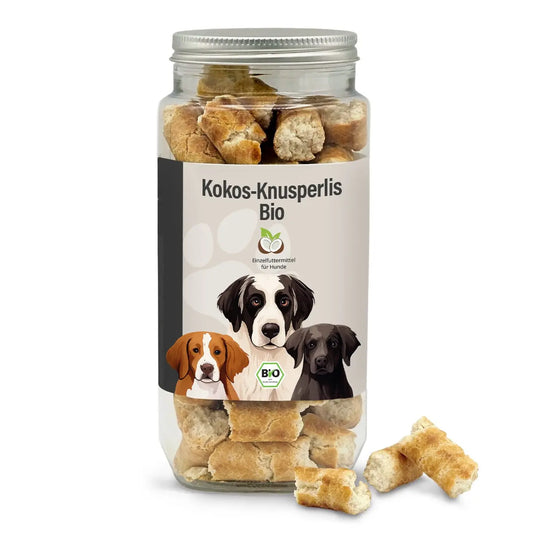 Kokos-Knusperlis (bio) 350g