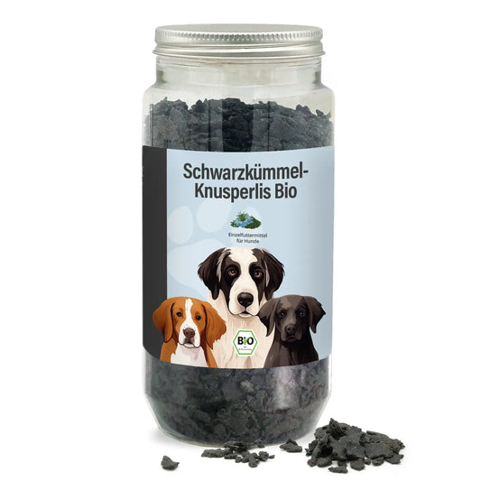Schwarzkümmel-Knusperlis (bio) 350g