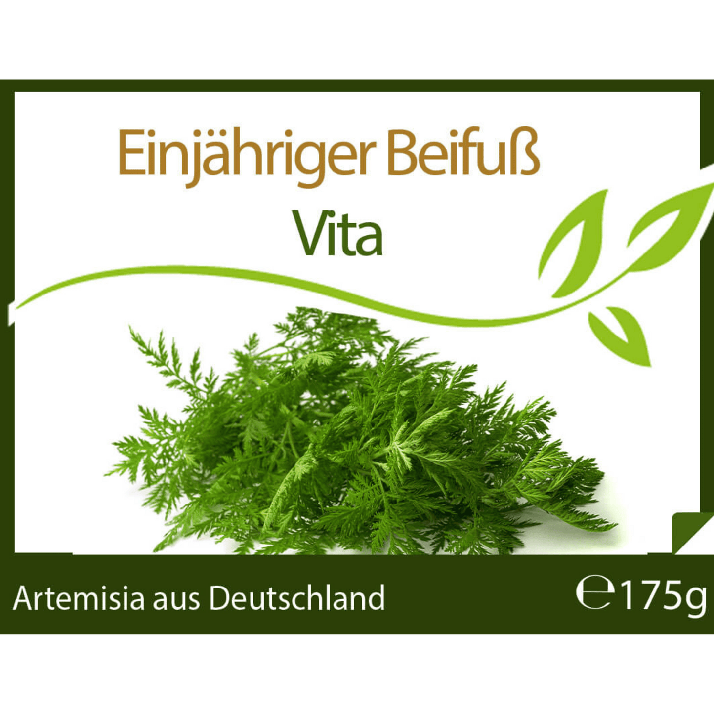 Artemisia Annua Einjähriger Beifuß 175g